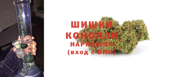 твердый Лагань