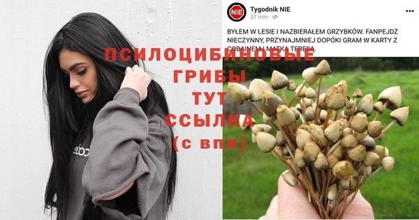 твердый Лагань
