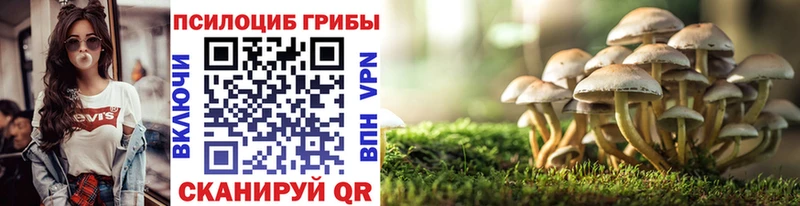 Галлюциногенные грибы мицелий  сайты даркнета наркотические препараты  гидра   Заринск  где купить наркотик 