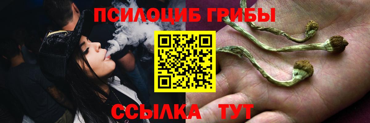 Заринск  цена наркотик  Вход с VPN  Псилоцибиновые грибы Psilocybine cubensis 